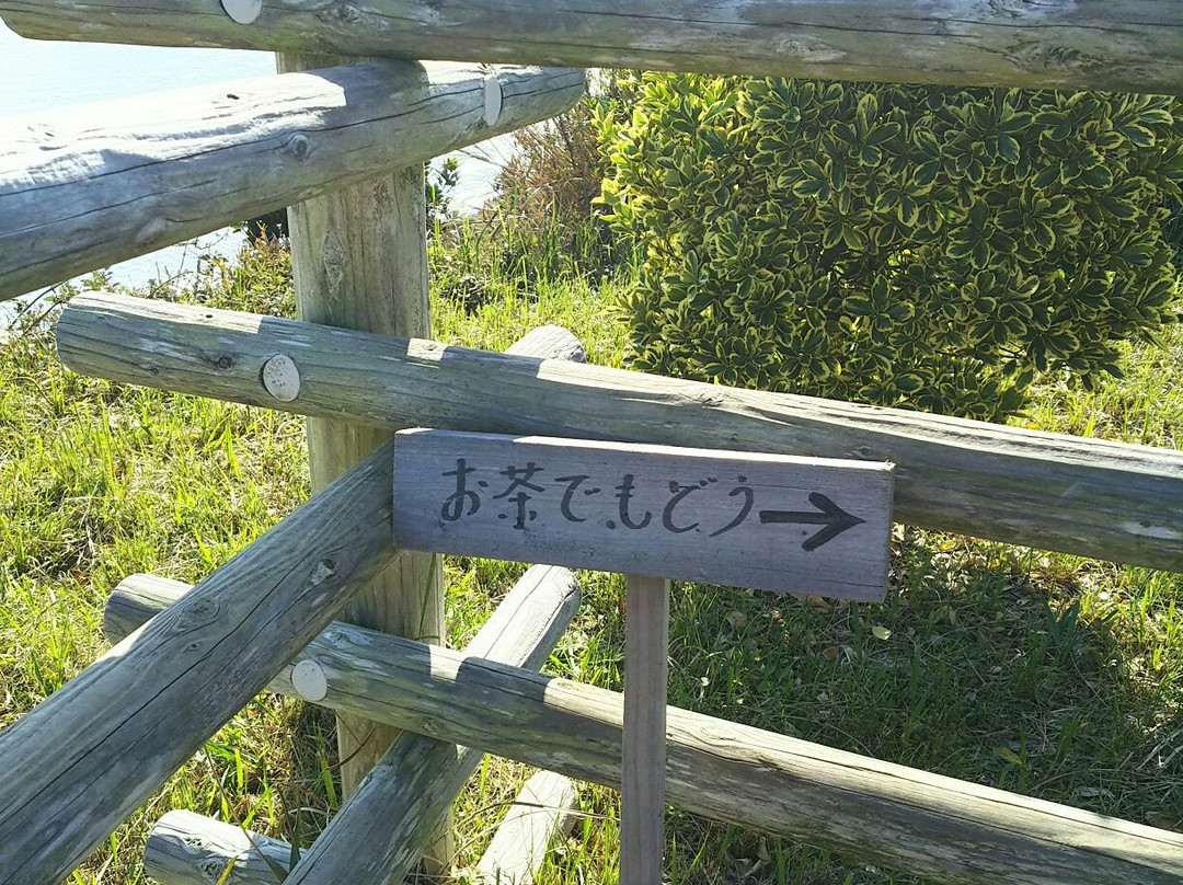 Cape Taito-夷隅市必去景点