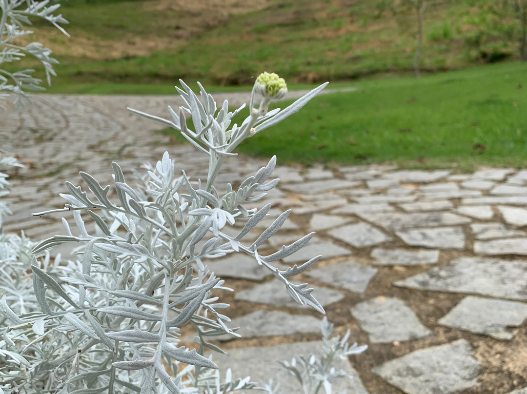 Rancho da Ferradura主图