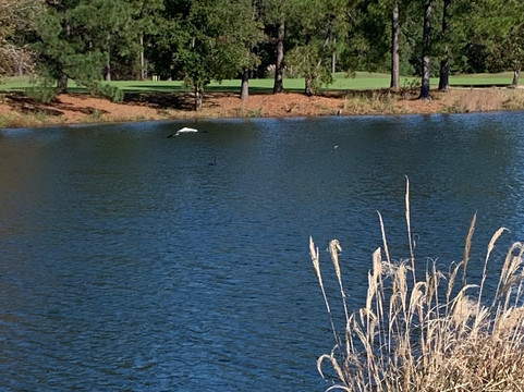 Myrtle Beach National-美特尔海滩必去景点