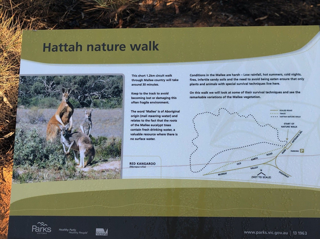 Hattah Nature Walk-Ouyen必去景点