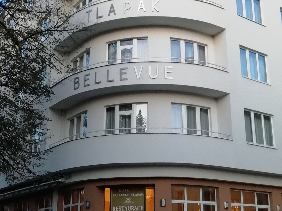 Hotel Bellevue Tlapak主图