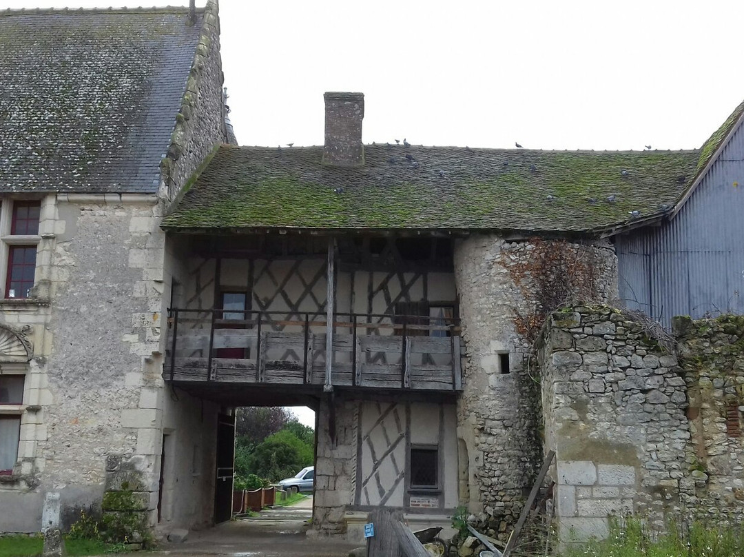 Château de Chémery景点图片