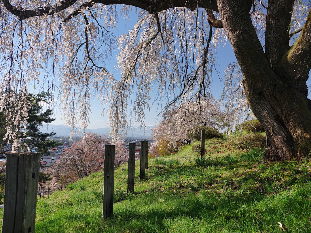 Sosho Park-南阳市必去景点