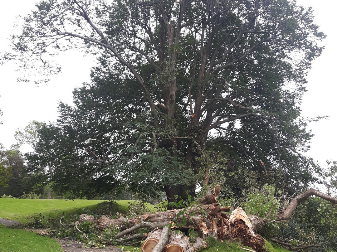 Fort Anne National Historic Site-安纳波利斯罗亚尔必去景点