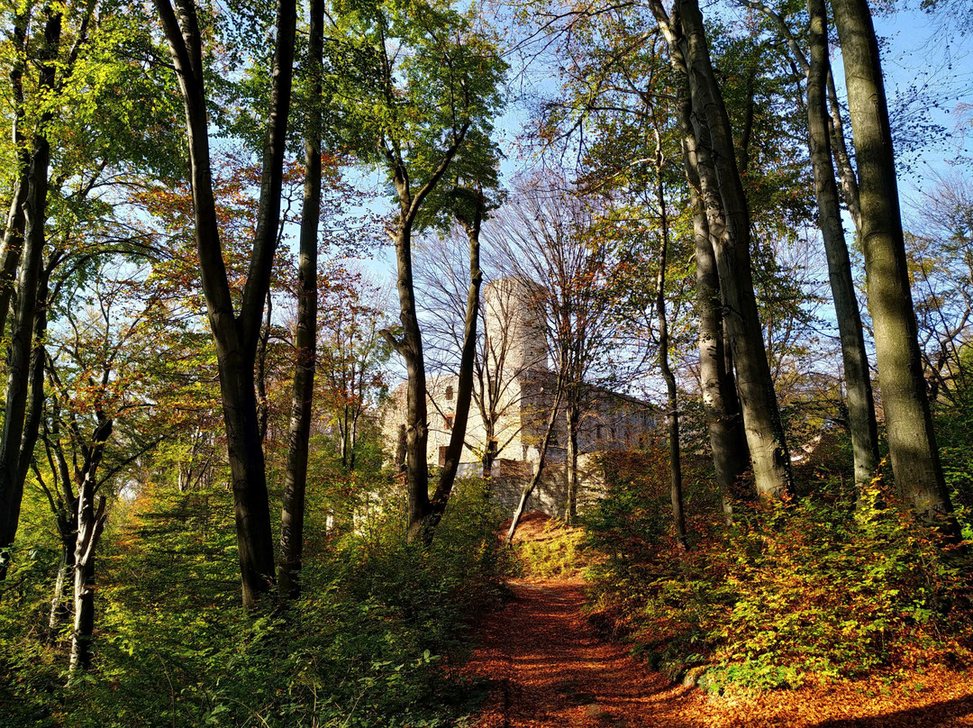 Lipowiec Nature Reserve景点图片