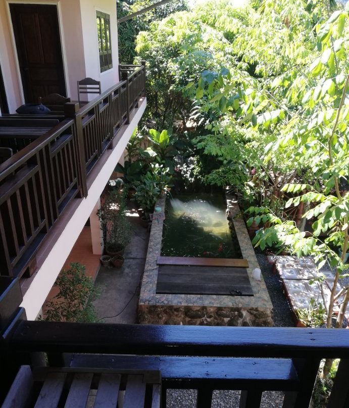Phamarn View Guesthouse主图