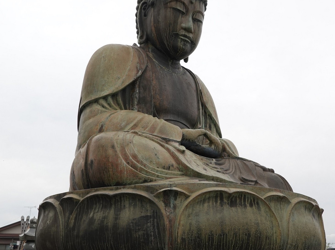 The Great Buddha of Kamagaya景点图片