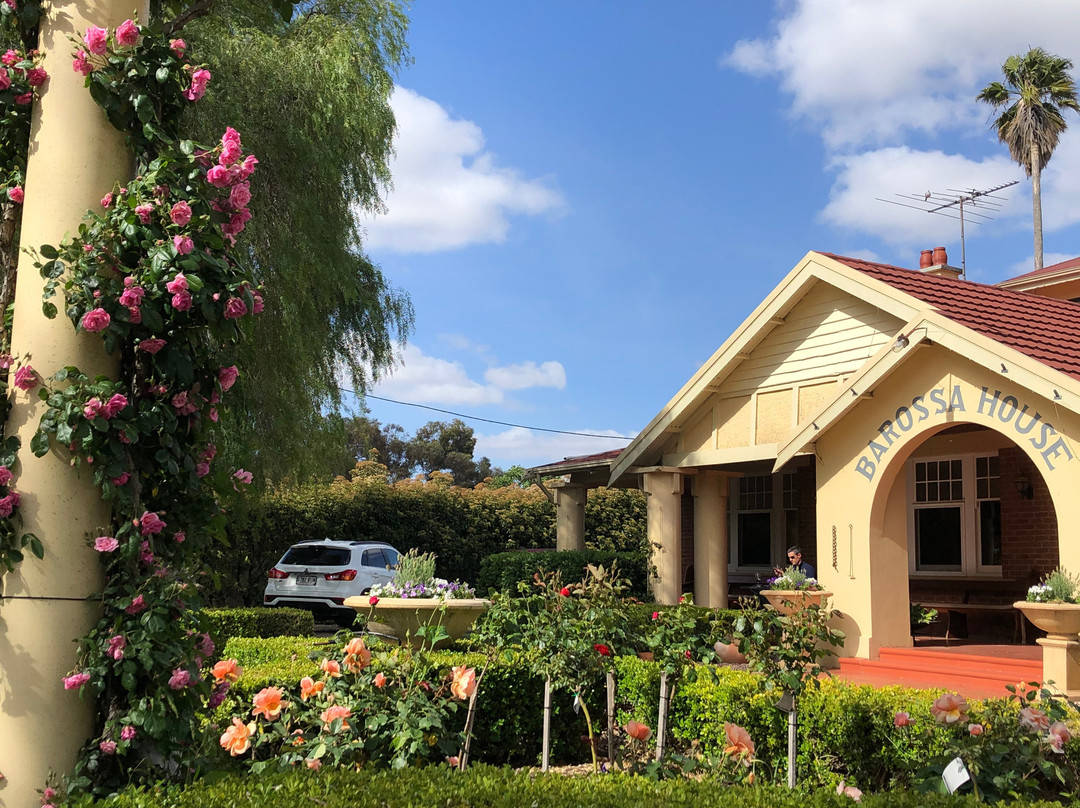 巴罗莎家庭式酒店主图