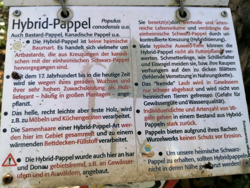 Infohaus Isarmuendung-Moos必去景点