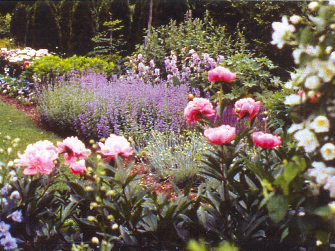 Glebe House Museum & The Gertrude Jekyll Garden-Woodbury必去景点