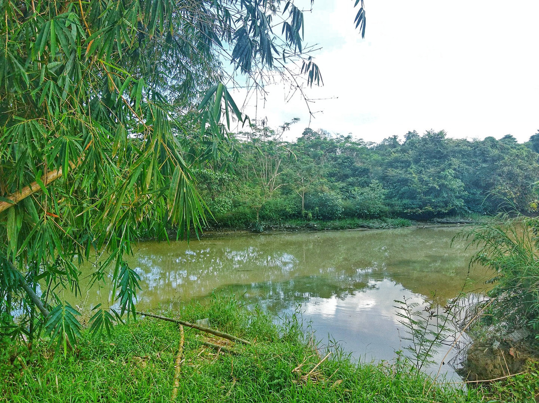 OYO 89419 Riverside Greenery Inn主图