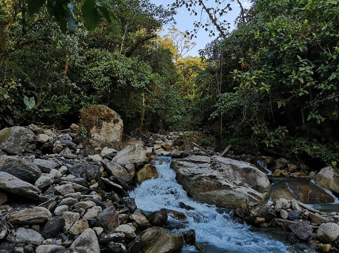 Finca Palmonte景点图片