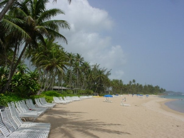 Dorado Beach, A Ritz-carlton Reserve-多拉多必去景点