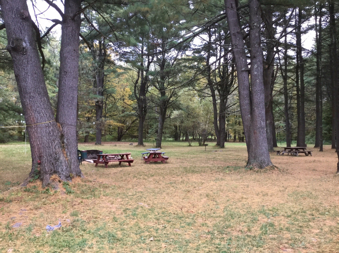 Catskill Motor Court主图