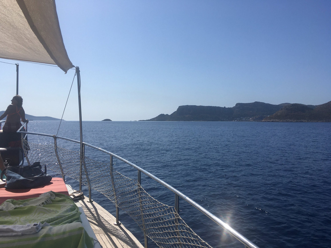 Tia Boat- Private Day Tours景点图片
