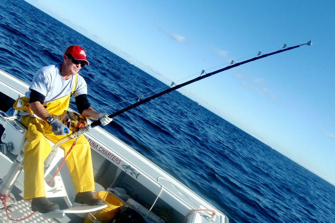 MacInnis Bluefin Tuna Charters景点图片
