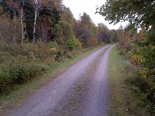 Outer Limit Sports-夏洛特镇必去景点
