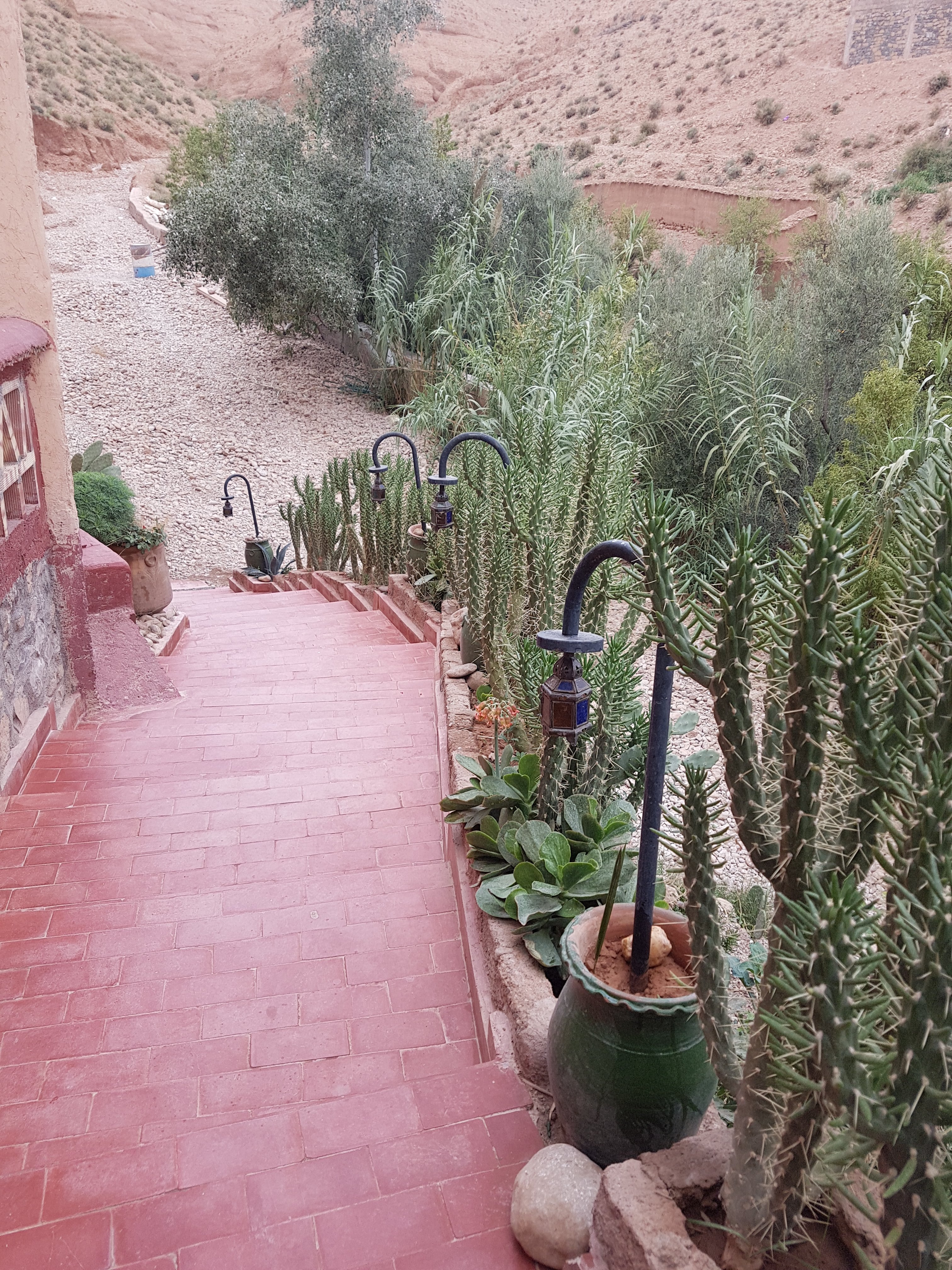 Riad Gabsi Dades-浴室