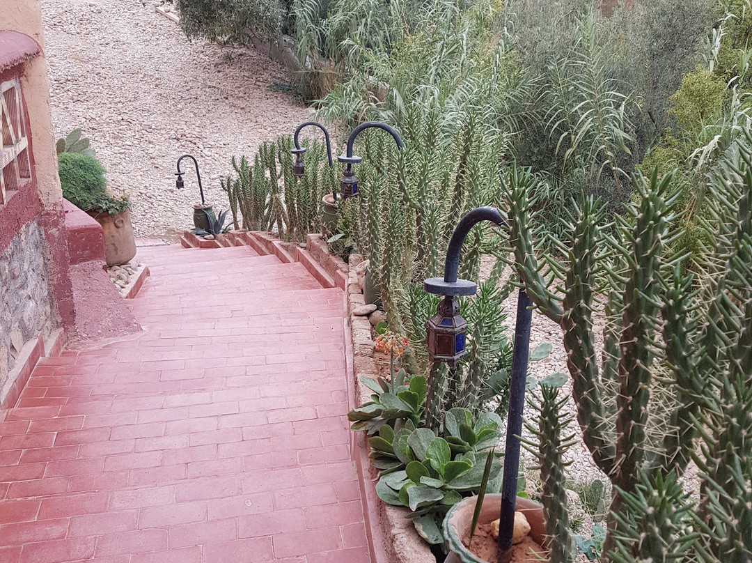 Riad Gabsi Dades主图