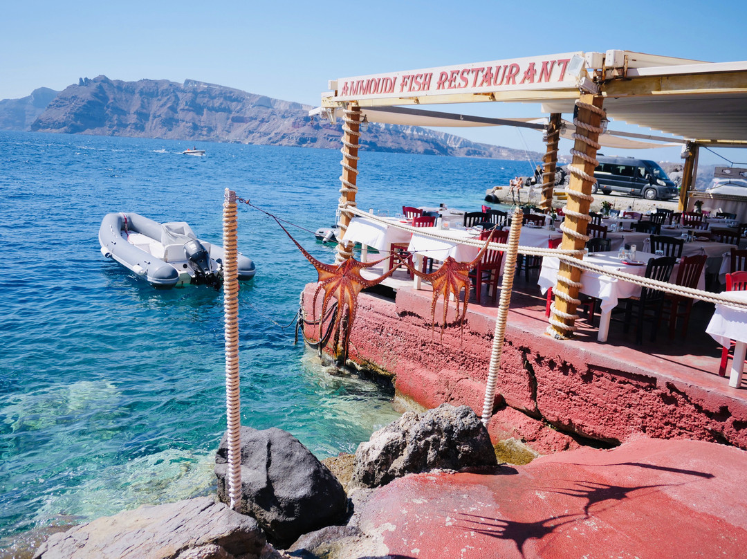 Marinakis Tours-圣托里尼必去景点