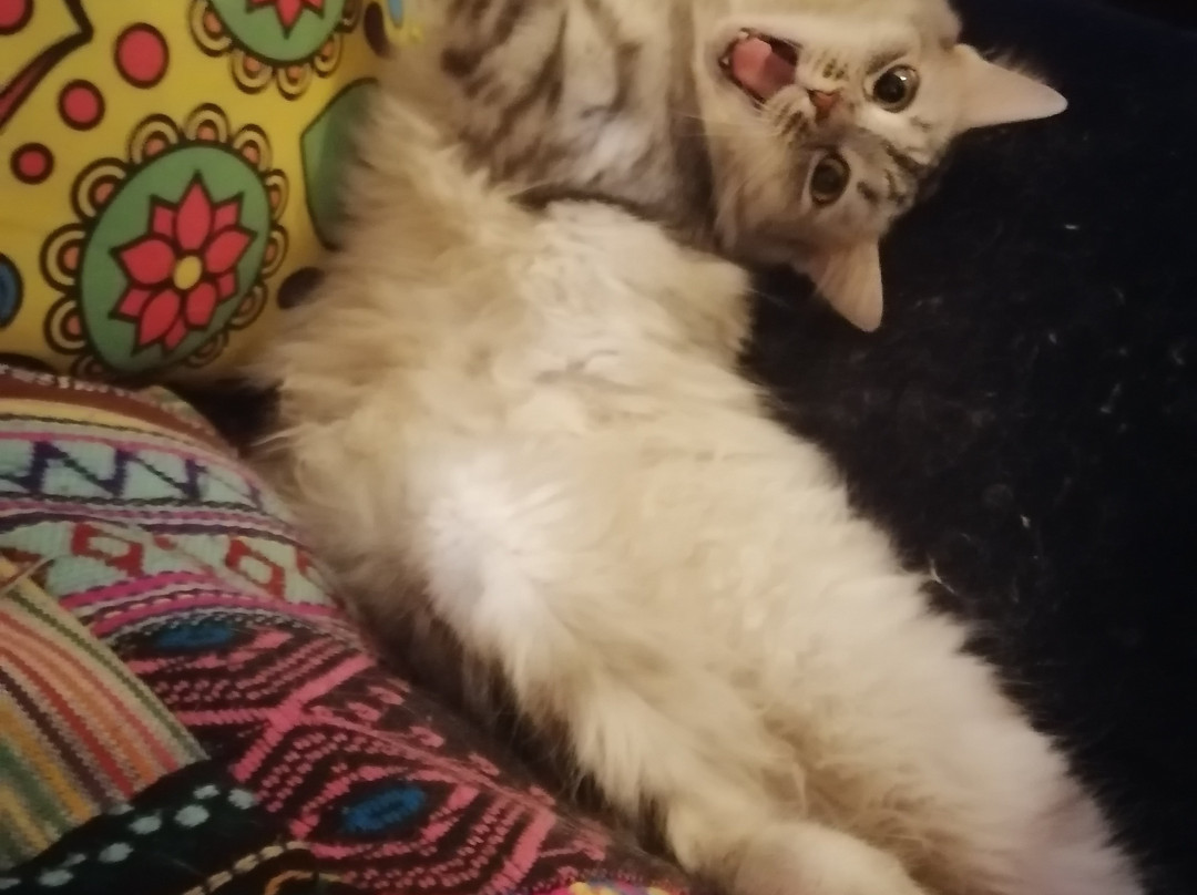 Aleph B-贝鲁特必去景点