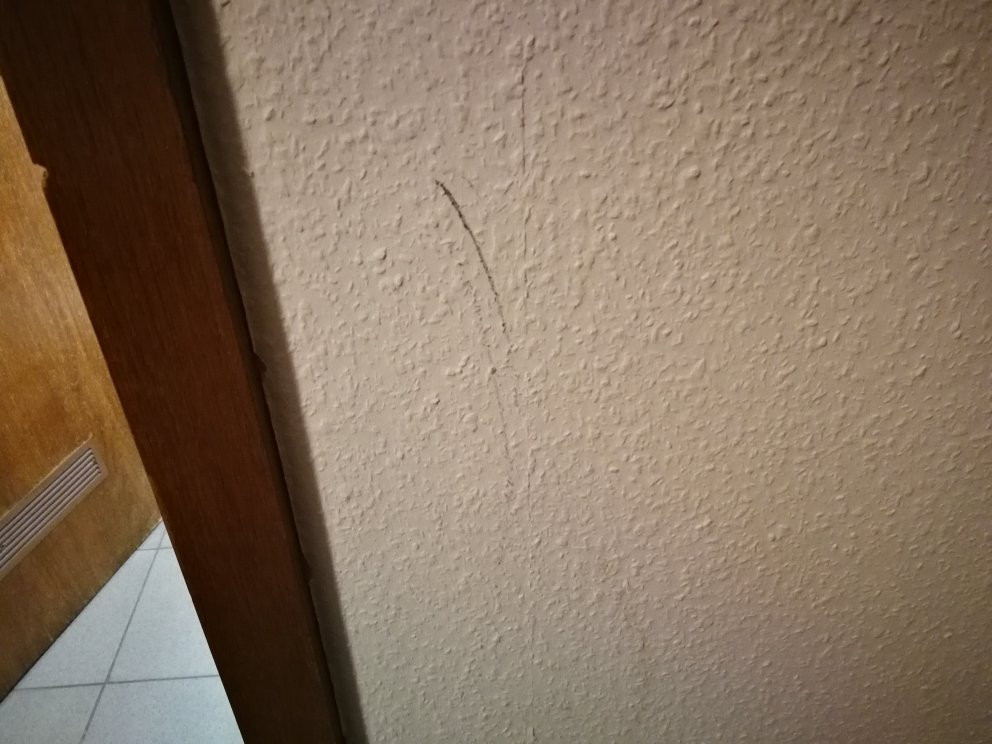 Zum treuen Bartel主图