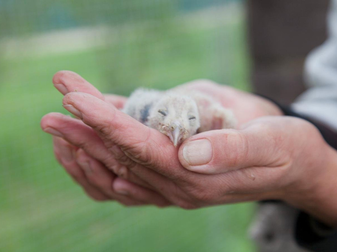 Penthea.org-布拉格必去景点