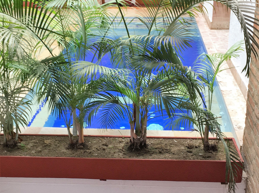 Hotel Boutique Casa Carolina主图