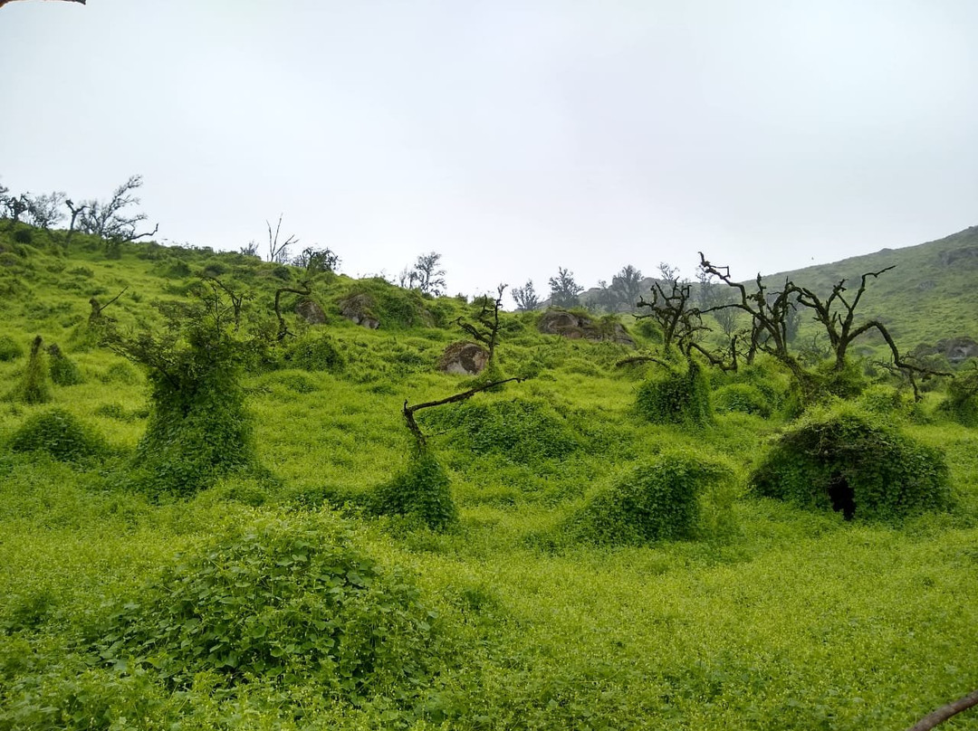 Reserva Nacional Lomas de Lachay-Huaral必去景点