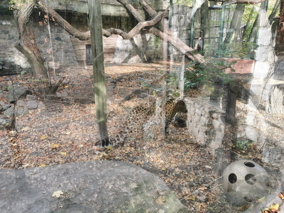 Zoo Eberswalde-Eberswalde必去景点