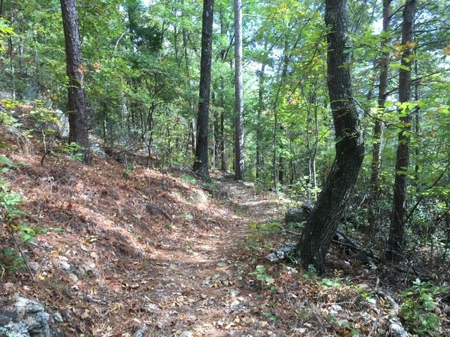 Turkey Creek Nature Preserve景点图片