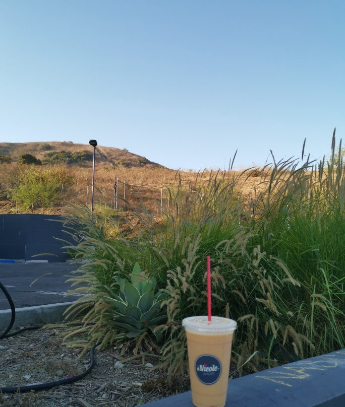 Baldwin Hills Scenic Overlook-卡尔弗城必去景点