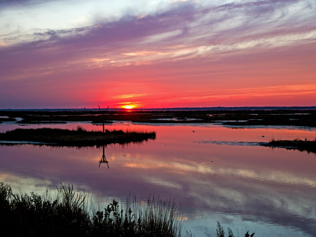 Edwin B. Forsythe National Wildlife Refuge景点图片