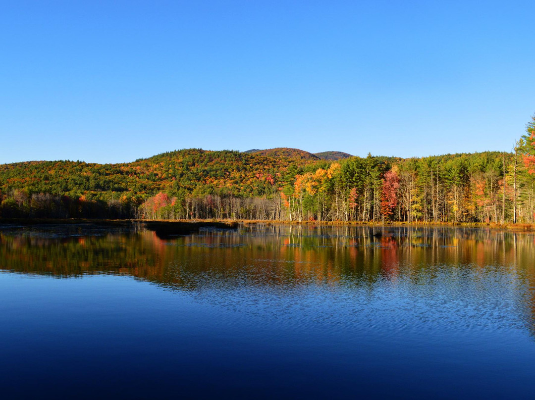 Quincy Bog Natural Area景点图片