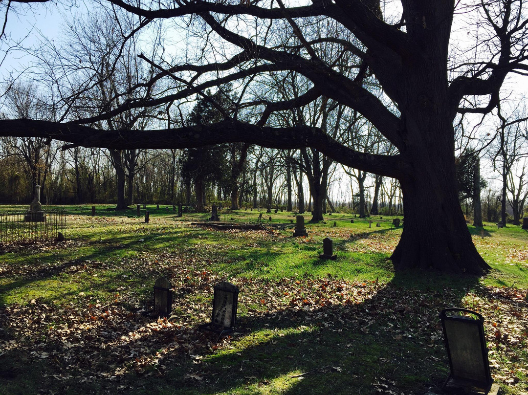 Old Newtonia Civil War Cemetery景点图片