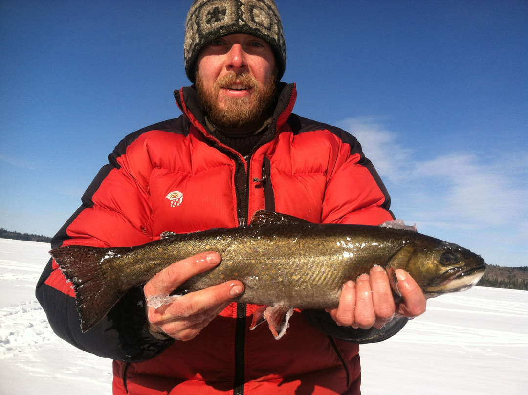 Frosty Flags Guide Service