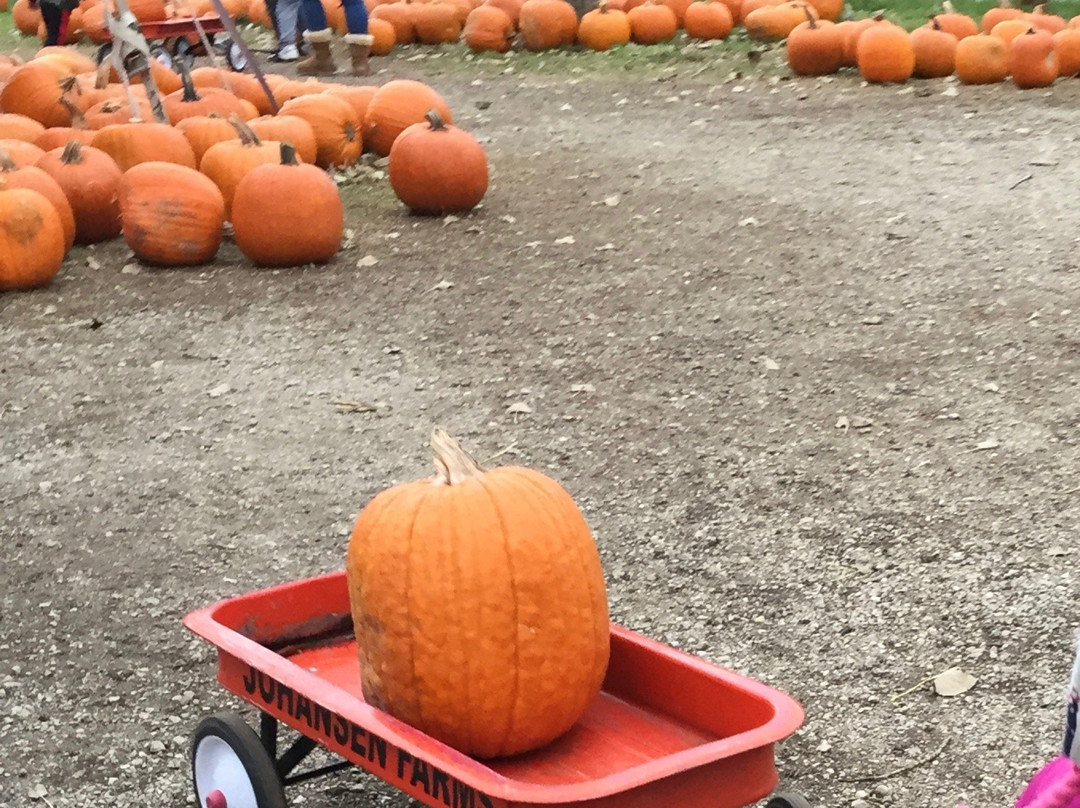 Johansen Farms-Bolingbrook必去景点