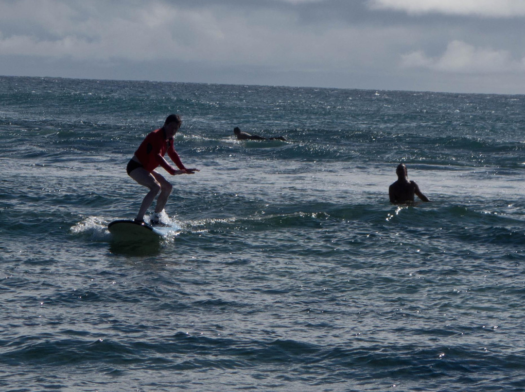 Blue Seas Surfing School景点图片