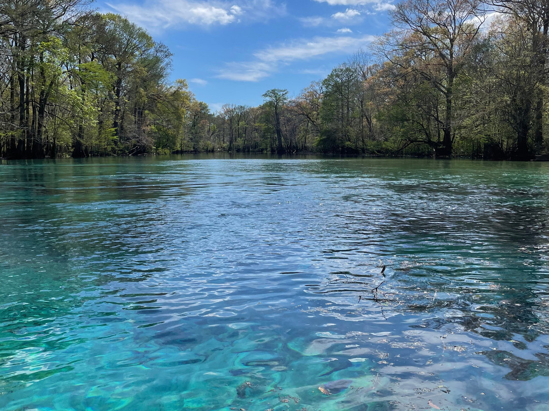 Cypress Springs Adventures景点图片