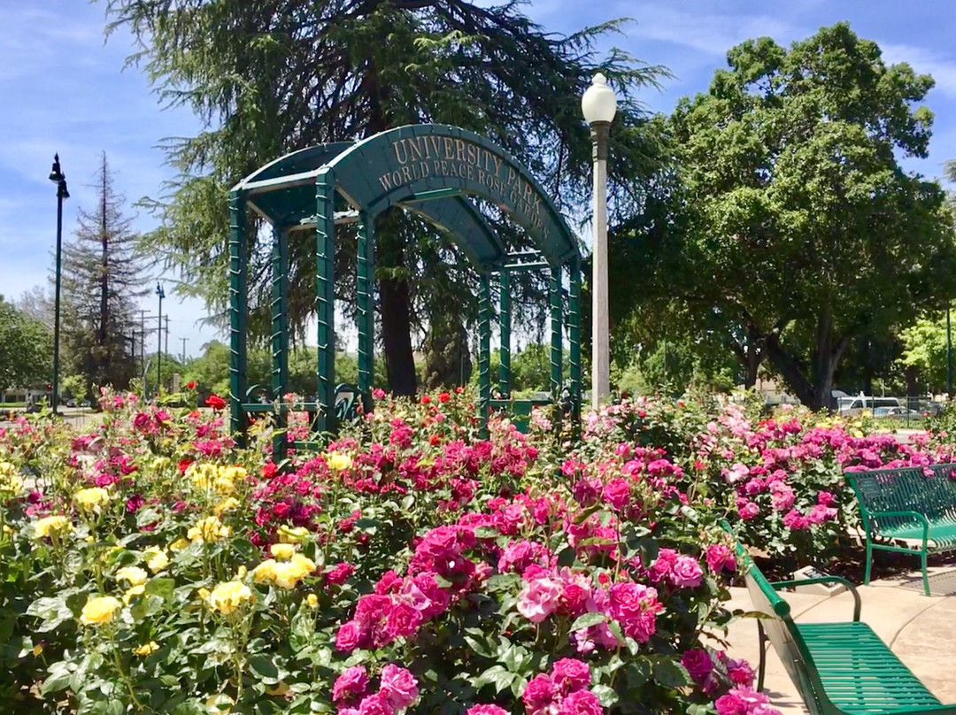 University Park World Peace Rose Garden