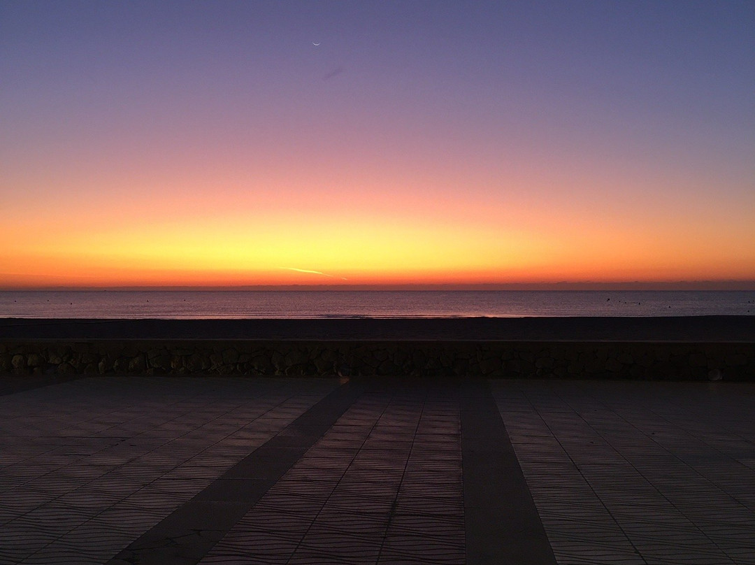 Playa De Perros Campello-El Campello必去景点