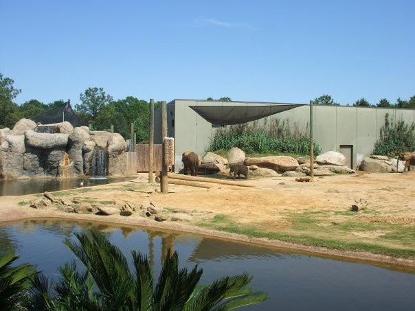 Montgomery Zoo景点图片