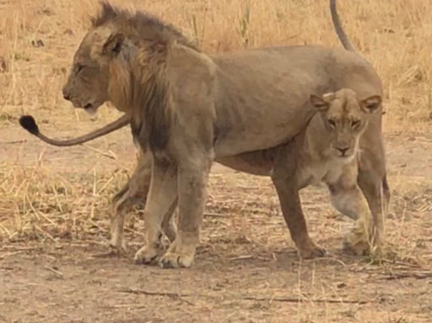 Time + Tide Luwi主图