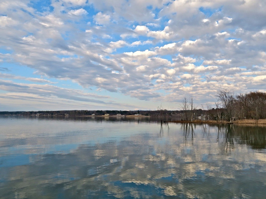 Shelburne Bay Park景点图片