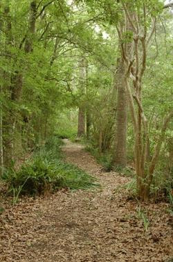 Nature Discovery Center