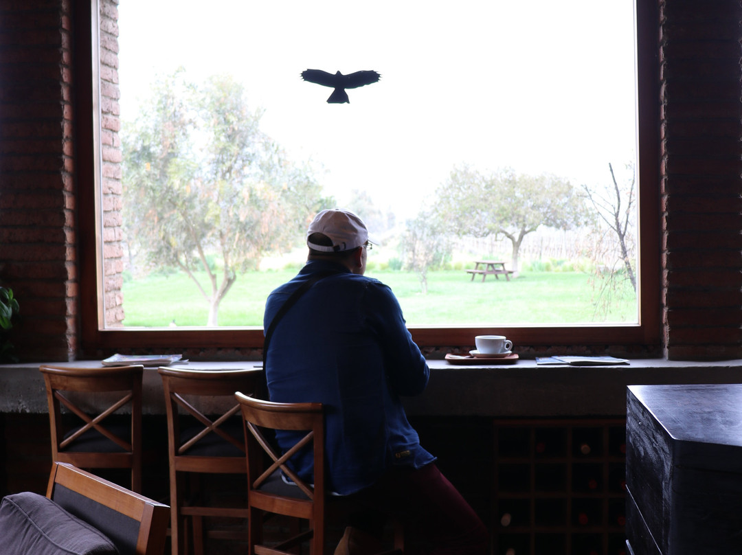 MM Tours and Travels-圣地亚哥必去景点