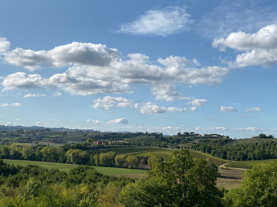 Tuscany Transfer - Private Driver Service-蒙特普尔恰诺必去景点