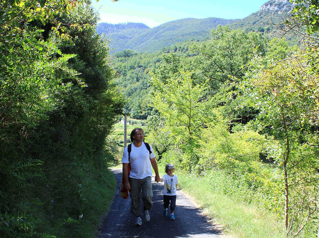 Gorges de Saint-Jaume景点图片