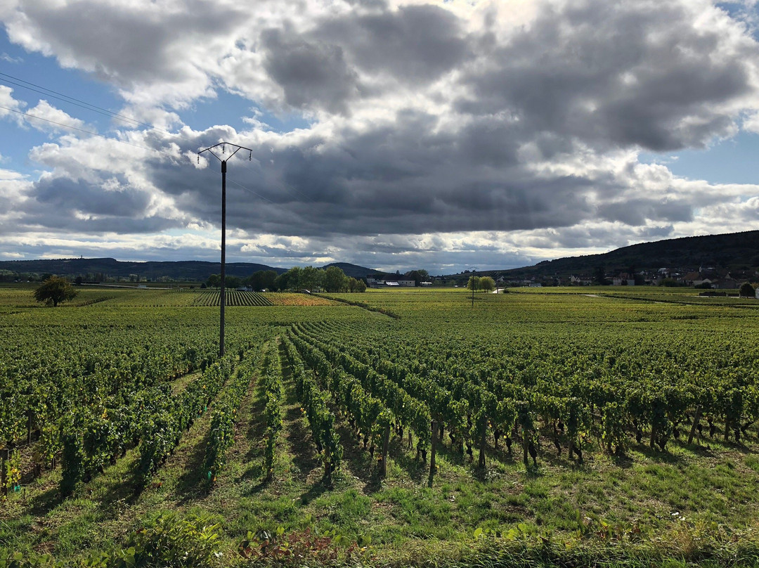 Divignes-博讷必去景点