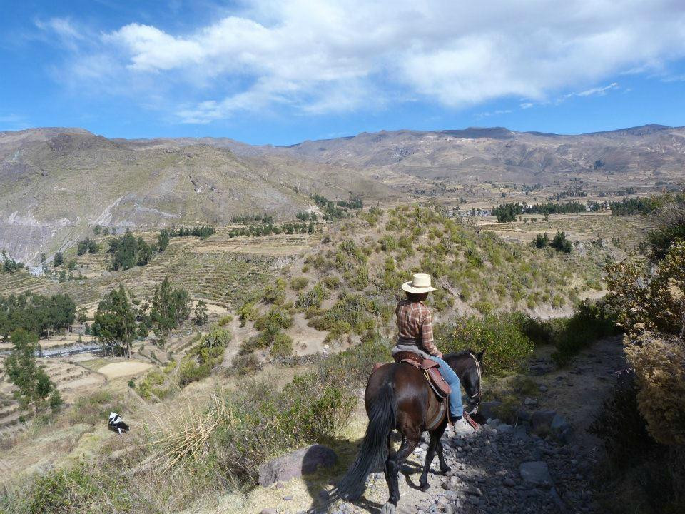 Colca Horse El Herraje-Yanque必去景点